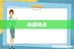 孙膑特点