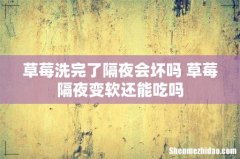 草莓洗完了隔夜会坏吗 草莓隔夜变软还能吃吗