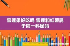 雪莲果好吃吗 雪莲和红薯属于同一科属吗