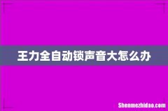 王力全自动锁声音大怎么办
