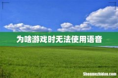 为啥游戏时无法使用语音