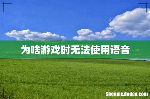 为啥游戏时无法使用语音