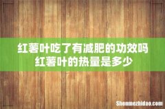 红薯叶吃了有减肥的功效吗 红薯叶的热量是多少
