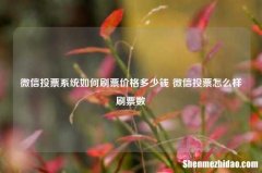 微信投票系统如何刷票价格多少钱 微信投票怎么样刷票数