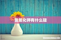 氢氧化钾有什么键