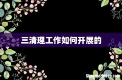 三清理工作如何开展的