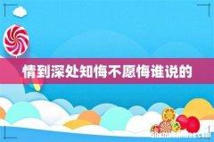 情到深处知悔不愿悔谁说的
