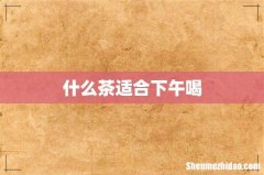 什么茶适合下午喝