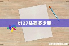 t127头盔多少克