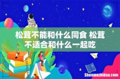 松茸不能和什么同食 松茸不适合和什么一起吃