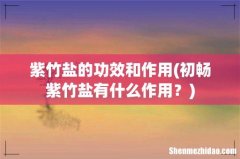 初畅紫竹盐有什么作用？ 紫竹盐的功效和作用