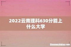 2022云南理科630分能上什么大学