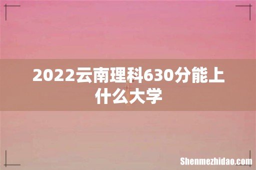 2022云南理科630分能上什么大学