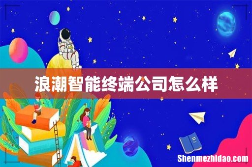 浪潮智能终端公司怎么样