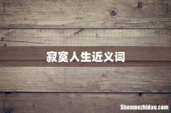 寂寞人生近义词