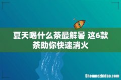 夏天喝什么茶最解暑 这6款茶助你快速消火