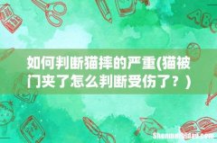 猫被门夹了怎么判断受伤了？ 如何判断猫摔的严重