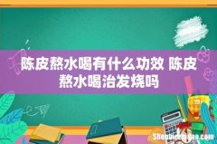 陈皮熬水喝有什么功效 陈皮熬水喝治发烧吗