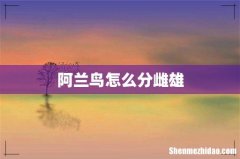 阿兰鸟怎么分雌雄
