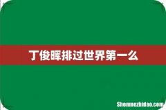 丁俊晖排过世界第一么