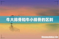 牛大排骨和牛小排骨的区别