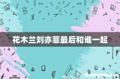 花木兰刘亦菲最后和谁一起