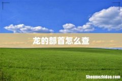 龙的部首怎么查