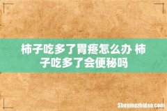 柿子吃多了胃疼怎么办 柿子吃多了会便秘吗