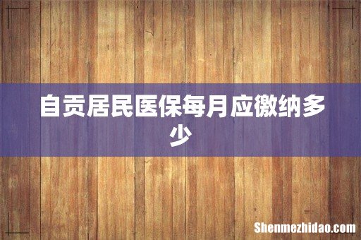 自贡居民医保每月应徼纳多少