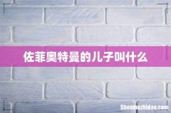 佐菲奥特曼的儿子叫什么