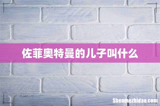 佐菲奥特曼的儿子叫什么