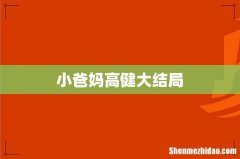 小爸妈高健大结局