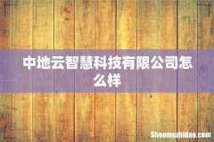 中地云智慧科技有限公司怎么样