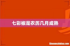七彩椒是农历几月成熟