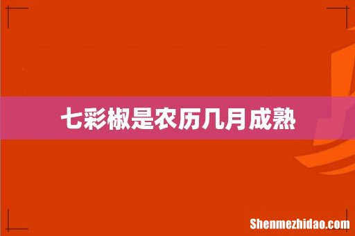 七彩椒是农历几月成熟