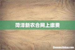 菏泽新农合网上缴费