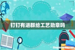 钉钉有进群给工艺勋章吗