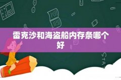 雷克沙和海盗船内存条哪个好