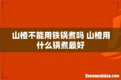 山楂不能用铁锅煮吗 山楂用什么锅煮最好