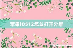 苹果iOS12怎么打开分屏