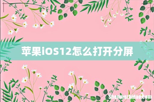 苹果iOS12怎么打开分屏