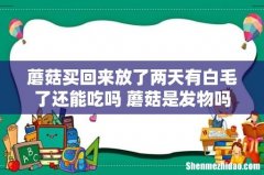 蘑菇买回来放了两天有白毛了还能吃吗 蘑菇是发物吗