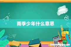 雨季少年什么意思