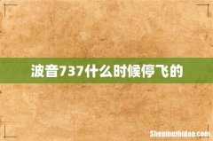 波音737什么时候停飞的