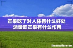 芒果吃了对人体有什么好处 适量吃芒果有什么作用