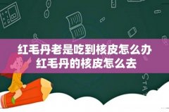 红毛丹老是吃到核皮怎么办 红毛丹的核皮怎么去