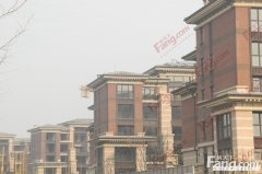 涡阳县成大翡翠弯怎么样 涡阳县嘉泰翡翠城一期户型图