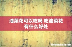 油菜花可以吃吗 吃油菜花有什么好处