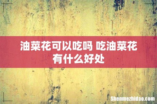 油菜花可以吃吗 吃油菜花有什么好处