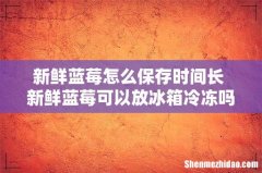 新鲜蓝莓怎么保存时间长 新鲜蓝莓可以放冰箱冷冻吗